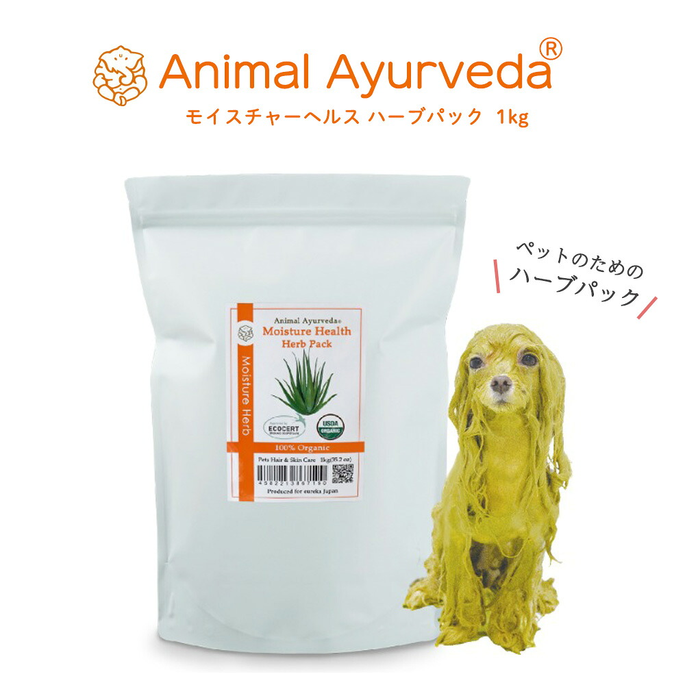 フェイクグリーンが百貨店SALEで最大限度50%OFF