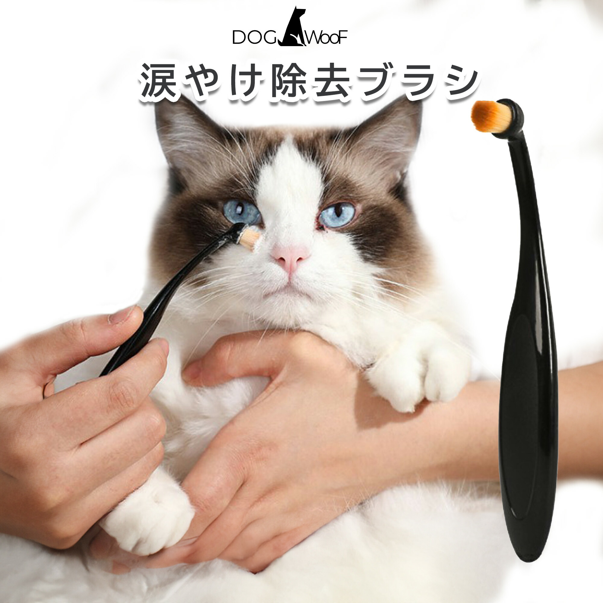 涙やけ グルーミングパウダー 40gとブラシ小のセット Eye Envy 犬猫用 涙やけ グルーミングパウダー Eye Envy 犬猫用 中の通販 by