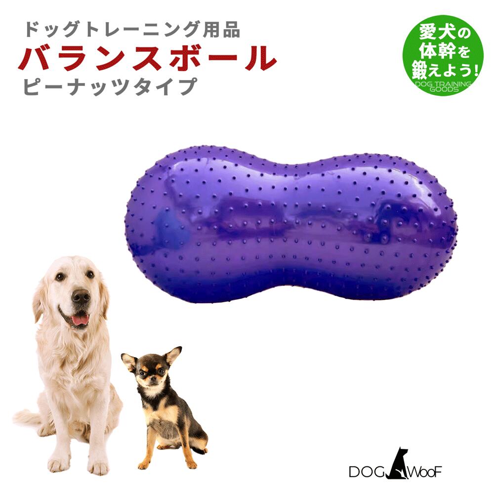 楽天市場】バランスボール 犬 ペット ピーナッツ型 ドッグバランスボール 小型犬 中型犬 大型犬 体幹トレーニング ピーナッツバランスボール 90cm  : ST-MART