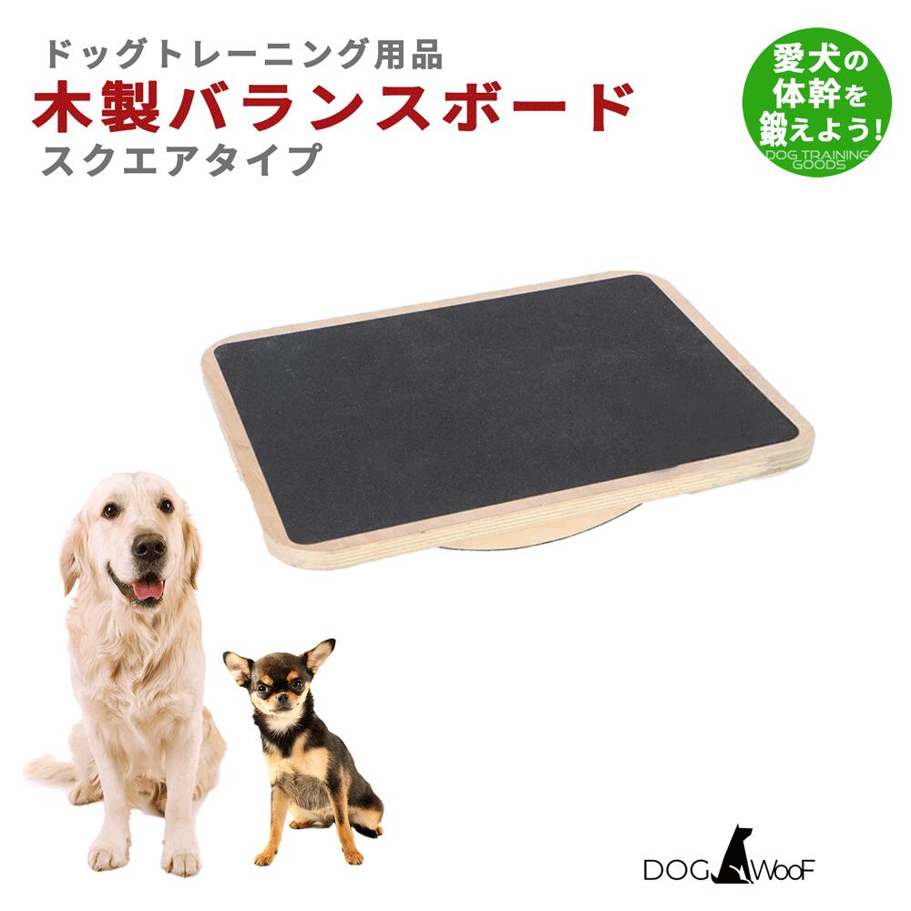 楽天市場】バランスボール 犬 ペット ピーナッツ型 ドッグバランスボール 小型犬 中型犬 大型犬 体幹トレーニング ピーナッツバランスボール 90cm  : ST-MART