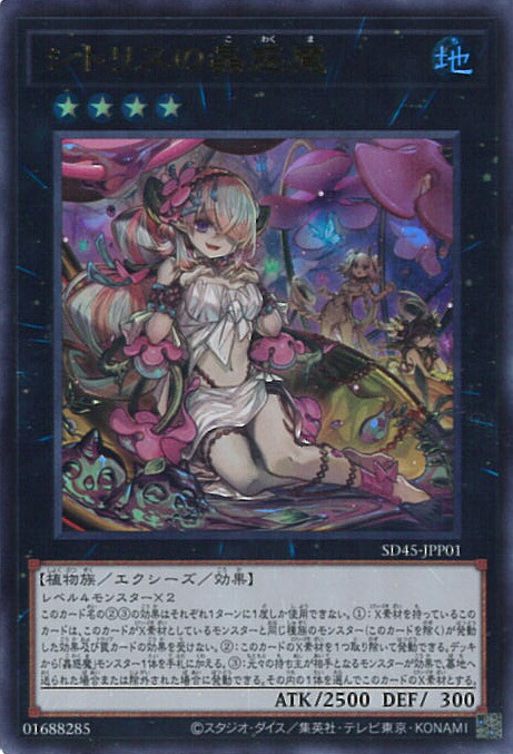 楽天市場】遊戯王 SDBT-EN042 シトリスの蟲惑魔 Traptrix
