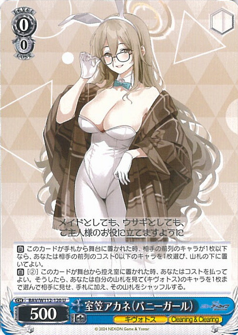 楽天市場】ヴァイスシュヴァルツ 十六夜ノノミ（水着） 【BAV