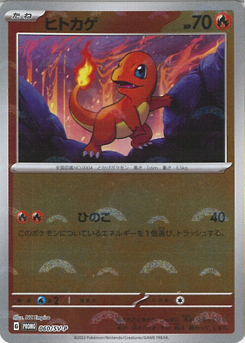 【未開封】ポケモンカードゲーム オフィシャルカードファイル カミツレver.2 Amazon.co.jp: ポケモンカードゲーム オフィシャルカード