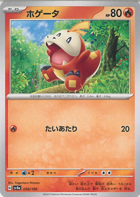 13枚セット ホゲータ プロモ 214/SV-P ポケカの夏がキタポケモンカード 新素材新作 SV-P PROMO ポケカの夏がキタ！ ホゲータ 214/SV-P