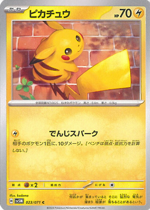 【PSA10-2連番-】ガオガエン ex SR,サイバージャッジ,2024 m53527817445_1.jpg?1742412452