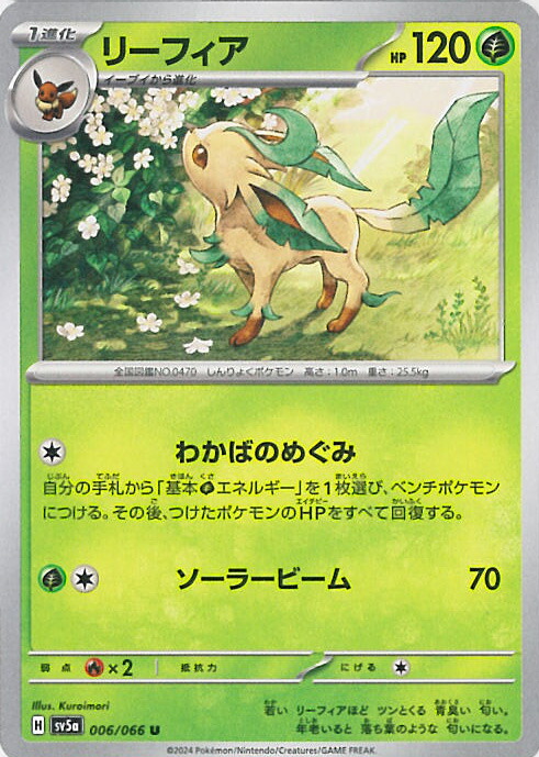 楽天市場】ポケモンカードゲーム イラストレーションコンテスト
