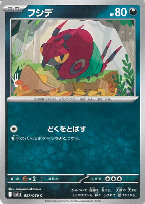 楽天市場】ポケモンカードゲーム SV11B 076/086 タブンネ 無 (C コモン