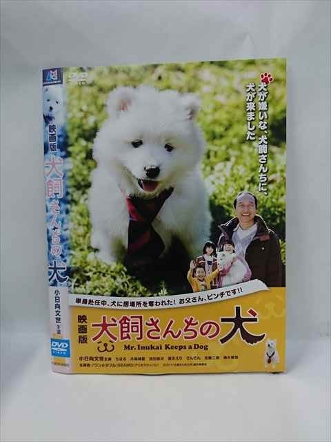想い出のアニメライブラリー 第101集 ビリ犬 コレクターズDVD〈2枚組〉 想い出のアニメライブラリー 第101集 ビリ犬 コレクターズDVD〈2