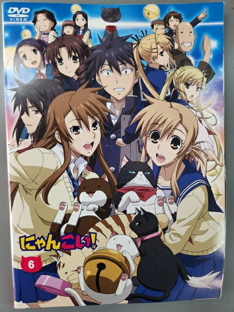 xs891 レンタルUP●DVD にゃんこい！ 全6巻 ※ケース無画像