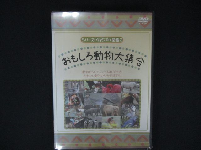 0212★未開封DVD 動物園の人気者と動物の珍プレー集 おもしろ動物大集合 動物映像決定版 ※ワケ有