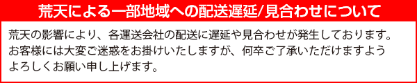 50%OFF! ストレート バッテリーブラシ mm φ10〜25 80-680 STRAIGHT 車用品