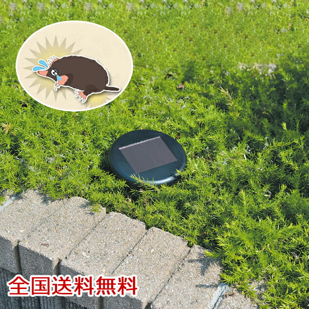 68％以上節約 モグラ 野ネズミ撃退 とおせん棒 ジョイント式３本組 discoversvg.com