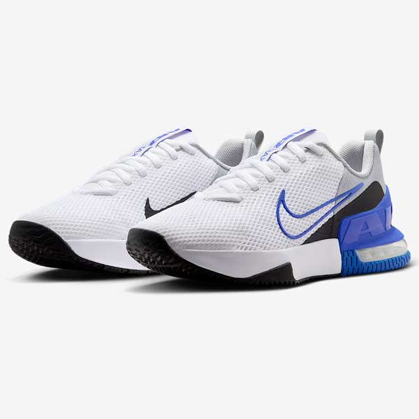 シューズ ナイキ エア湖 マックス アルファ 調教師 6 AIR MAX ワークアウトシューズ 形づくる スニーカー FQ1833-102 nike