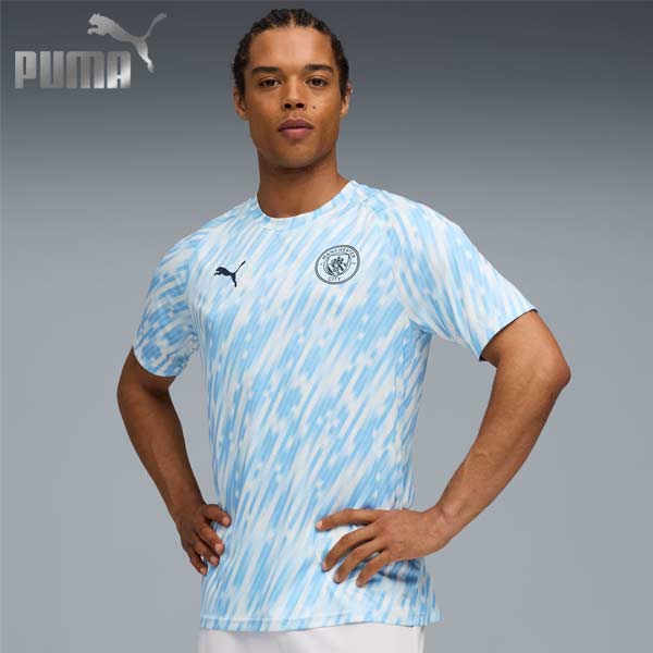 楽天市場】プーマ サッカーウェア レプリカシャツ メンズ