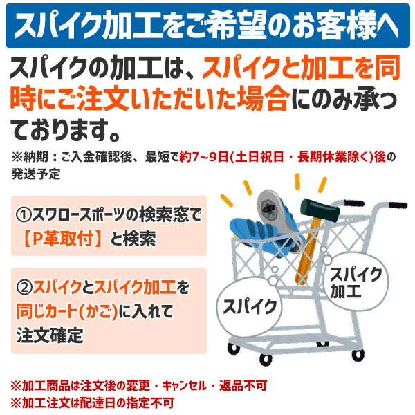 野球 デサント 樹脂底 金具 野球スパイク 鴻江ベルト GAINA 高校野球対応 コウノエベルト 白スパイク DB1PJA00WH 白スパ 野球部  ウェア ウエア 野球用品 スワロースポーツ 最大96%OFFクーポン