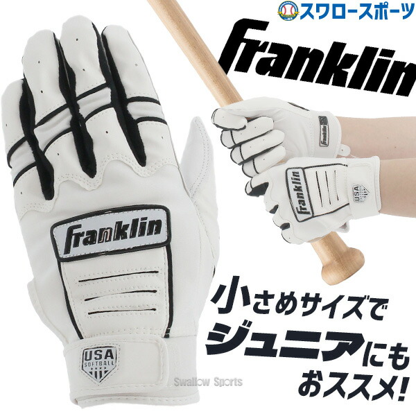 Franklin Pro Classic ヤンキース ジャッジ 支給品 バッテ Franklin Pro Classic ヤンキース ジャッジ 支給品 バッテ