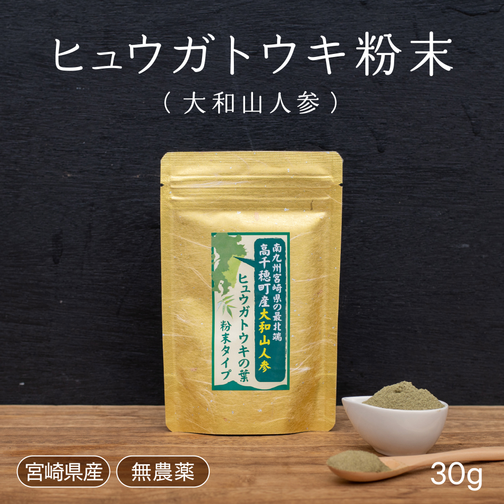 楽天市場 ヒュウガトウキ ひゅうがとうき 日本山人参 宮崎産 無農薬 大容量180粒 源抹100 血圧 サプリ 冷え症 不眠 健康 血流 宮崎健康マーケット