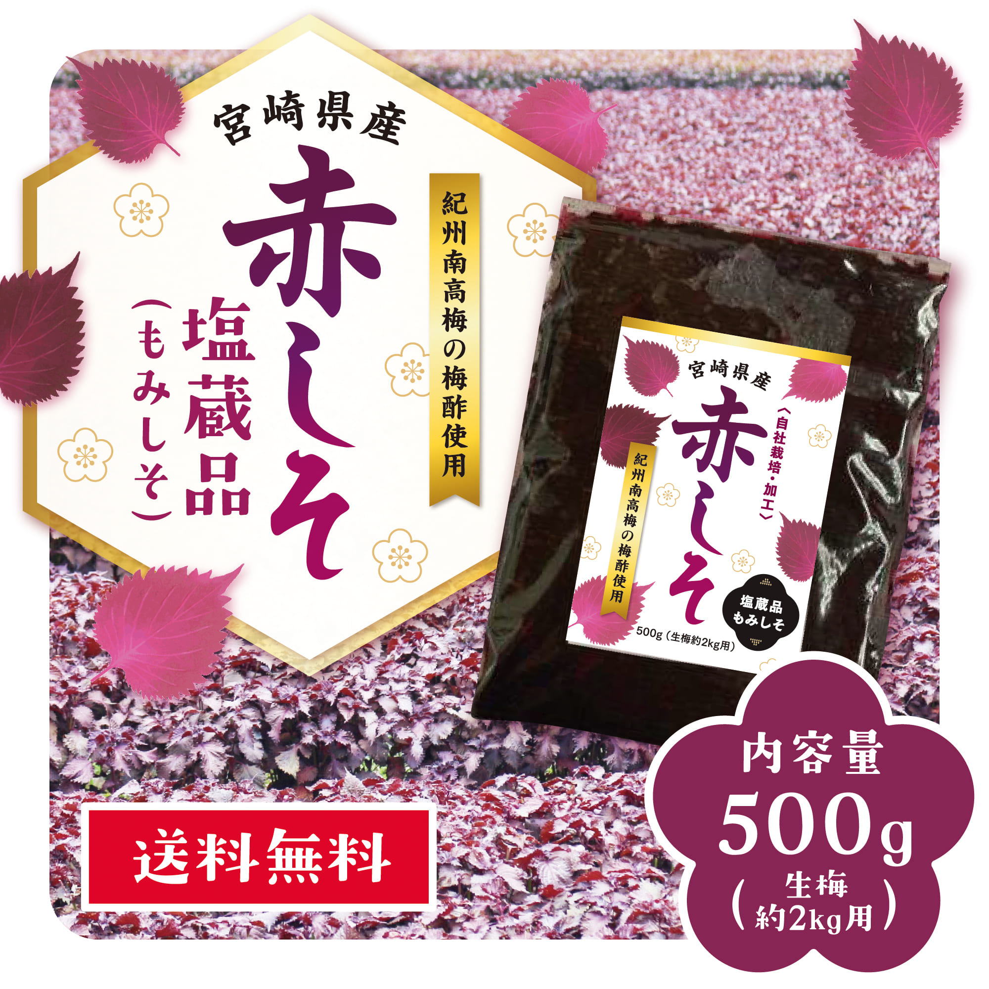 もみシソ shiso-1.jpg