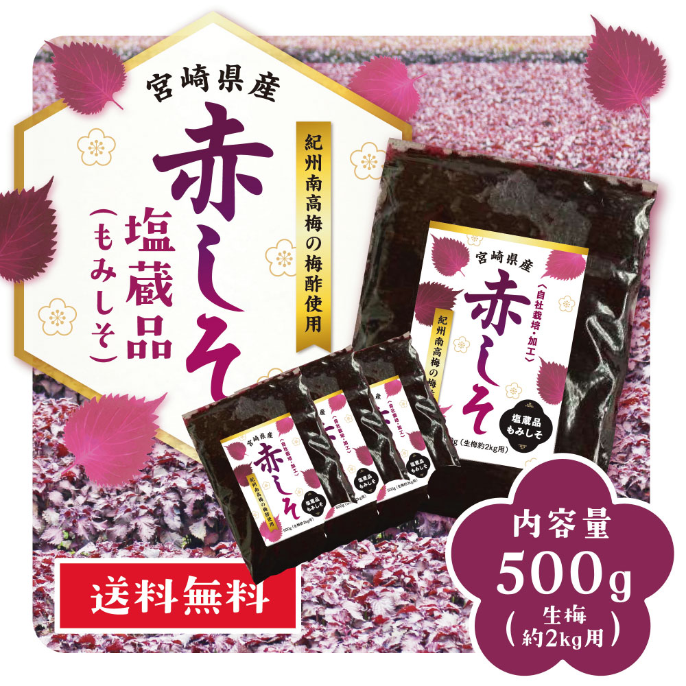 神尾　国産 梅漬け用赤しそ500ｇ上質ちりめんじそ使用【6袋セット】 楽天市場】赤しそ 葉 500g×10個セット 梅漬用 国内産 上質