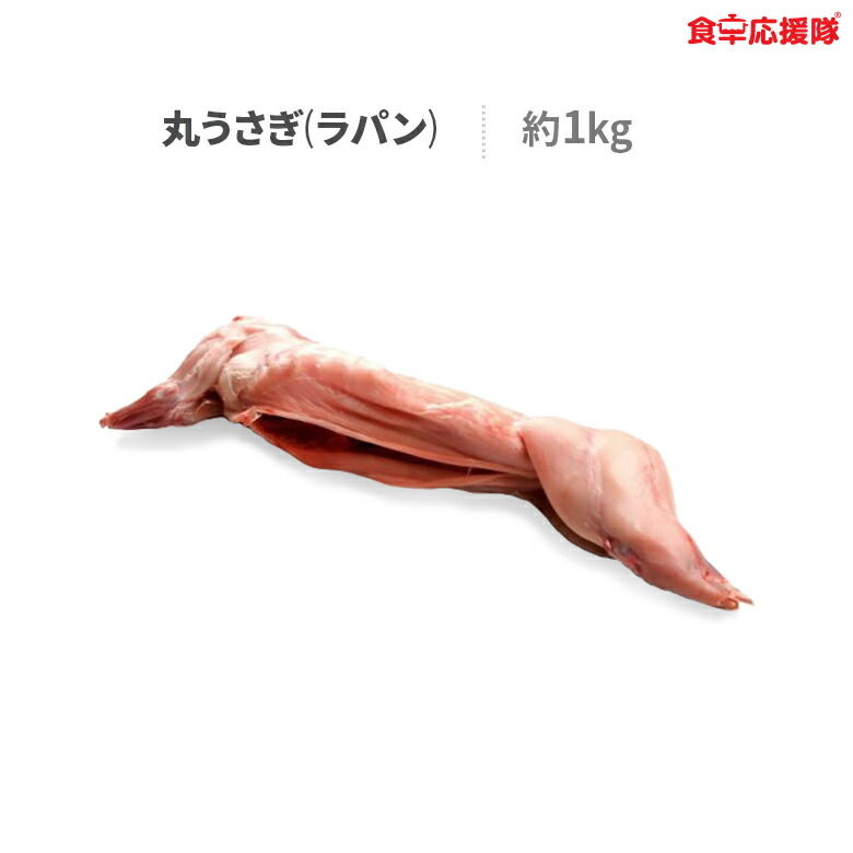 うさぎ肉 丸うさぎ ラパン肉 冷凍 スペイン産 特別な日にうさぎ肉でお祝い ストック用に一部内臓があります 保存方法 Beyondresumes Net