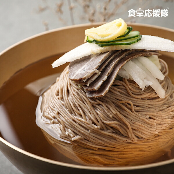 新商品 宋家の冷麺 麺160g×60袋 1ケース 業務用 卸特価 送料無料 newschoolhistories.org