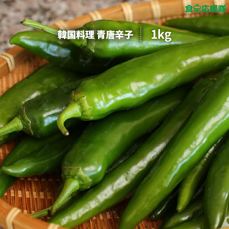 楽天市場】【青唐辛子 生青唐辛子 500g】「冷蔵便」「辛口