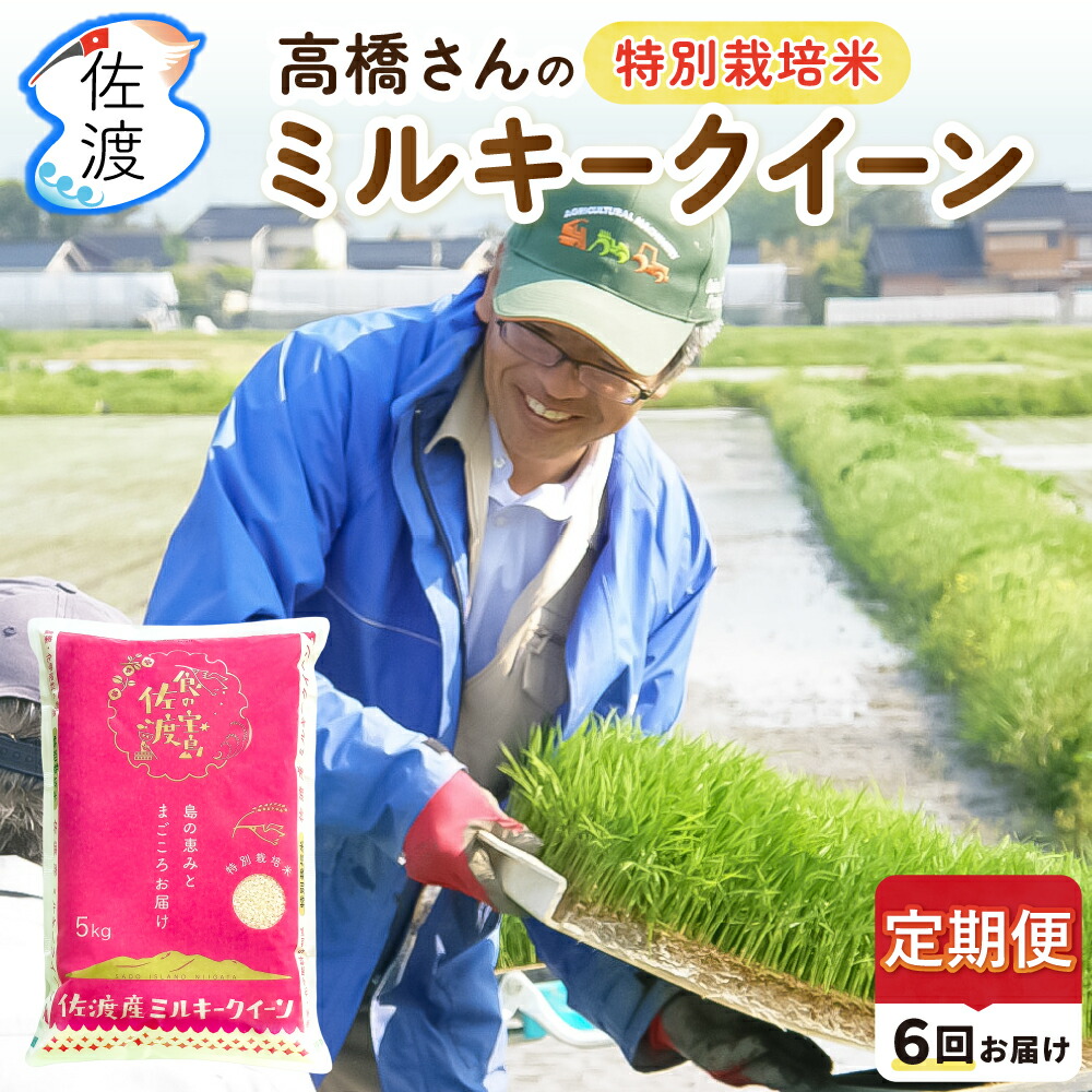楽天市場】【新米】令和7年産 佐渡産ミルキークイーン 10kg