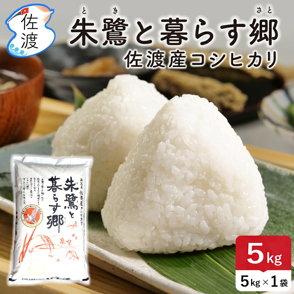令和５年度 新潟県佐渡産 コシヒカリ10キロ 令和5年度 新潟県佐渡産 コシヒカリ10キロ