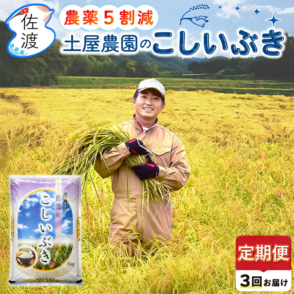 楽天市場】【新米】令和7年産 佐渡産こしいぶき 5kg (白米/玄米