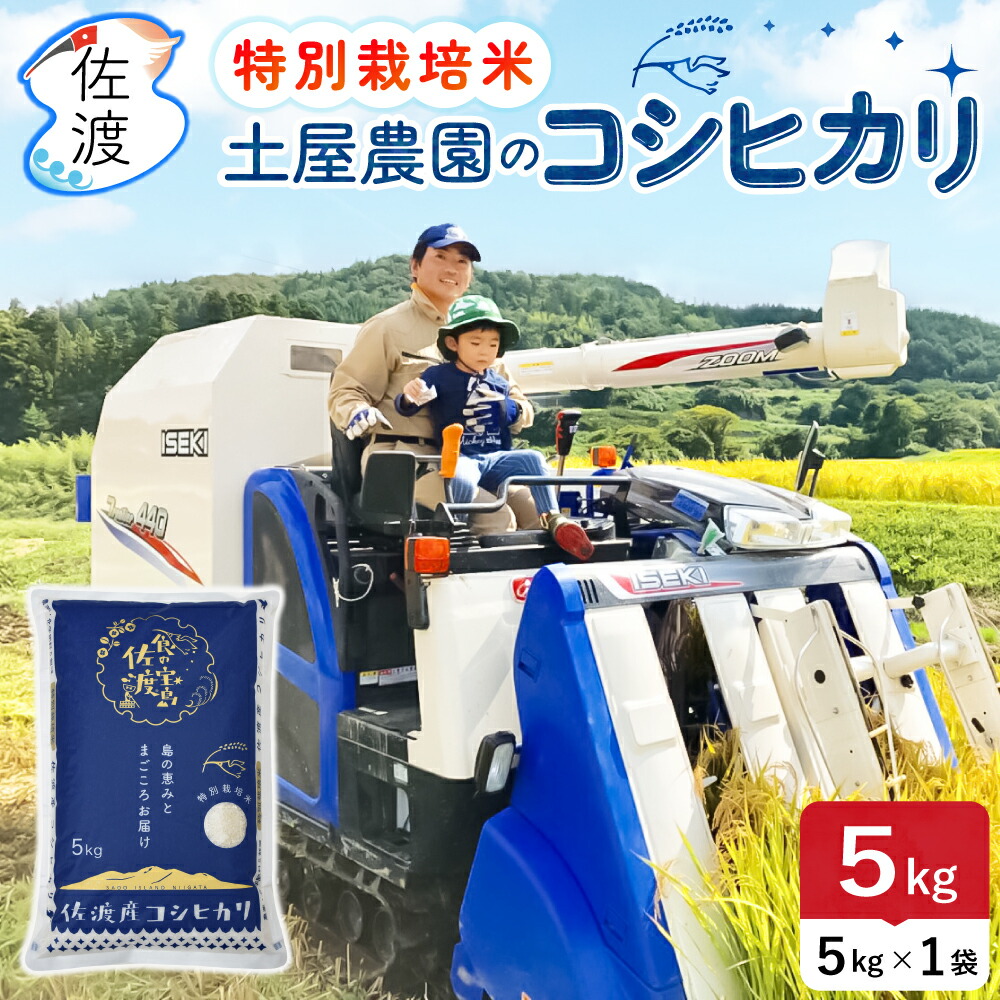 楽天市場】【新米予約】令和7年産 佐渡産コシヒカリ 10kg（白米