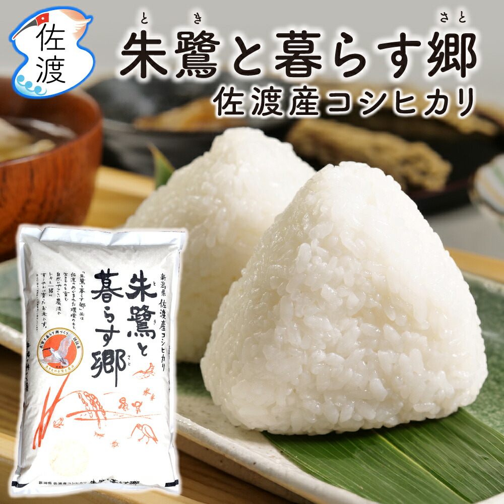 ラスト２袋◆人気おにぎり店出荷米◆コシヒカリ◆玄米30kg◆栃木県◆ 真岡産コシヒカリ 30kg(1等玄米) | 栃木県真岡市 | ふるさと納税