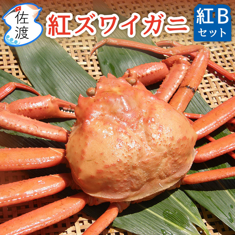 楽天市場】［予約］佐渡産紅ズワイガニ 紅Aセット 2kg(5匹)～6kg