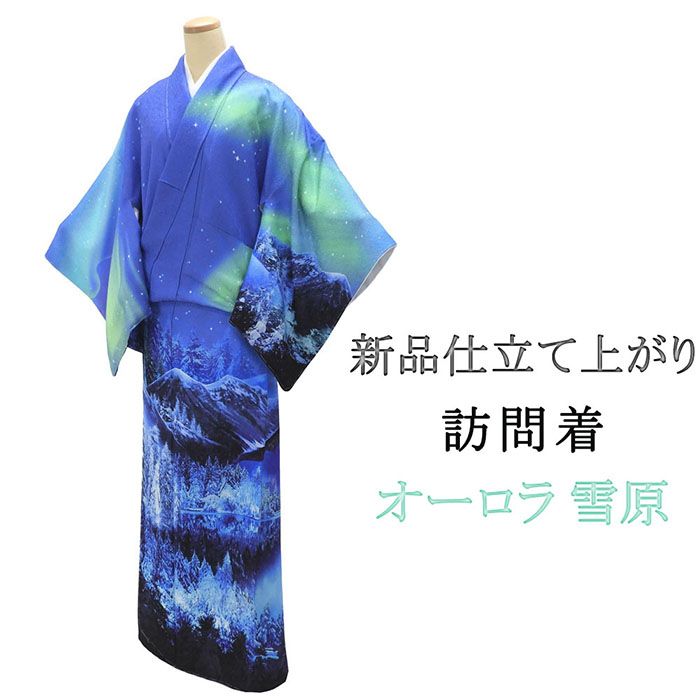 ＼20％OFF引き換え証散り散り中／短い訪問着 仕立てもの売り上げ高 新品 正絹 オーロラ 雪原 湖畔 身の丈165.5珊 裄丈68珊 新品仕立てもの済 御召しもの 寄り合い b1039