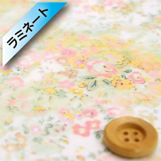 lbty3632186j24abc.jpg