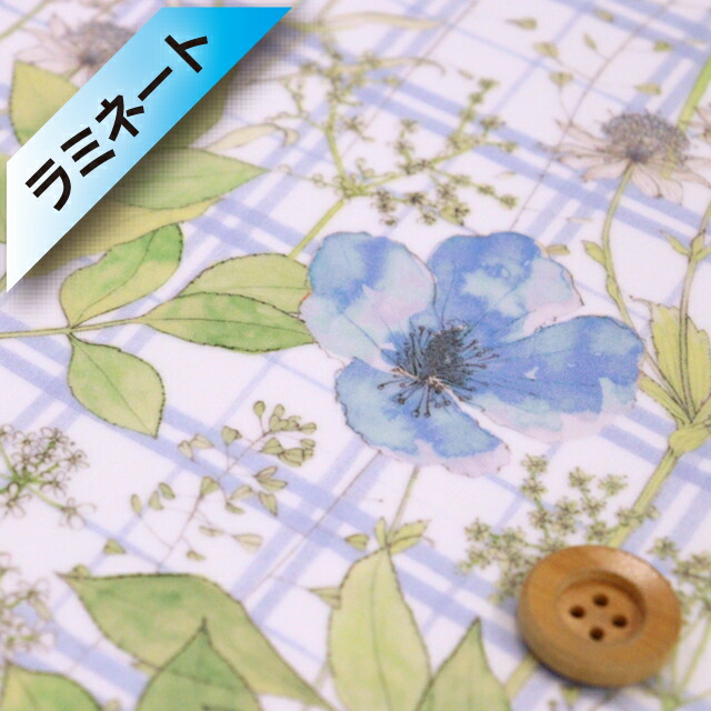 楽天市場】【サンドウオリジナルカラー】リバティプリント