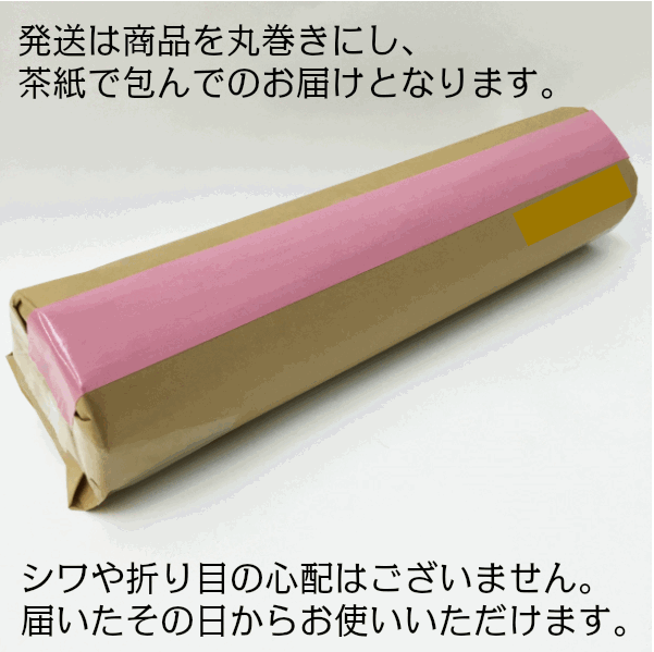 品質満点高評価 の廊下敷き 廊下マット 廊下 犬 猫 3畳 ペット アンモニア消臭 廊下 カーペット ロングカーペット 北欧 洗える ウォッシャブル 日本製 滑り止め 品名 遊歩道 約65cm 540cm 大漁カーペット送料無料 廊下敷きカーペット ロングマット 日本製 保温性