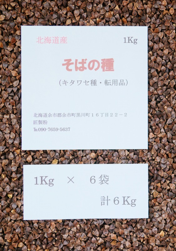 『そばの種』 そばの種子 6Ｋｇ（約300坪用） タネ 蕎麦の種 北海道産 転用品　キタワセ種　【送料無料】　そば種
