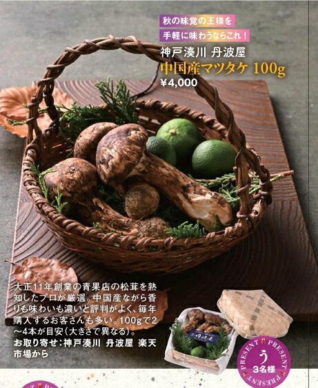 楽天市場】中国雲南省産 天然生松茸 マツタケ 生 天然まつたけ 開き方