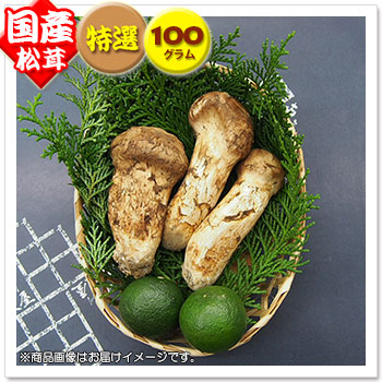 【国産松茸】：特選松茸：約100g：長野県産