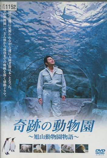 楽天市場】ガラスのうさぎ 東京大空襲/蝦名由紀子 長門裕之 長山藍子