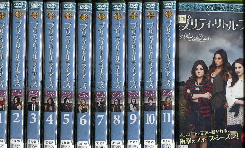 ブルース・リー伝説 DVD 全15巻　全巻セット　ケース付 ダニー・チャン ブルース・リー伝説 DVD 全15巻 全巻セット ケース付 ダニー