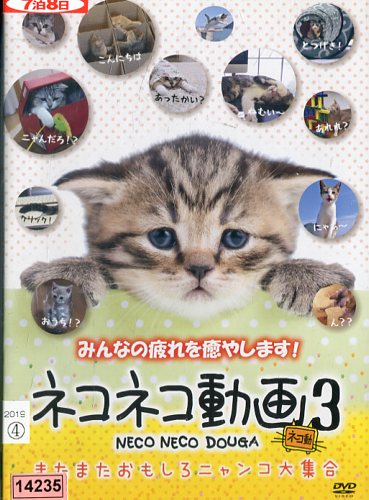 楽天市場 ネコネコ動画3 またまたおもしろニャンコ大集合 中古 中古dvd テックシアター