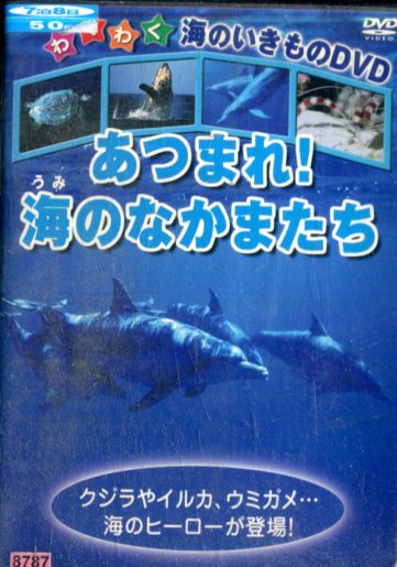 アクアキッズ(全巻)＆はぴねす！(全巻)DVDセット Amazon.co.jp: アクアキッズ DVD BOX : 森田成一, 渡辺明乃
