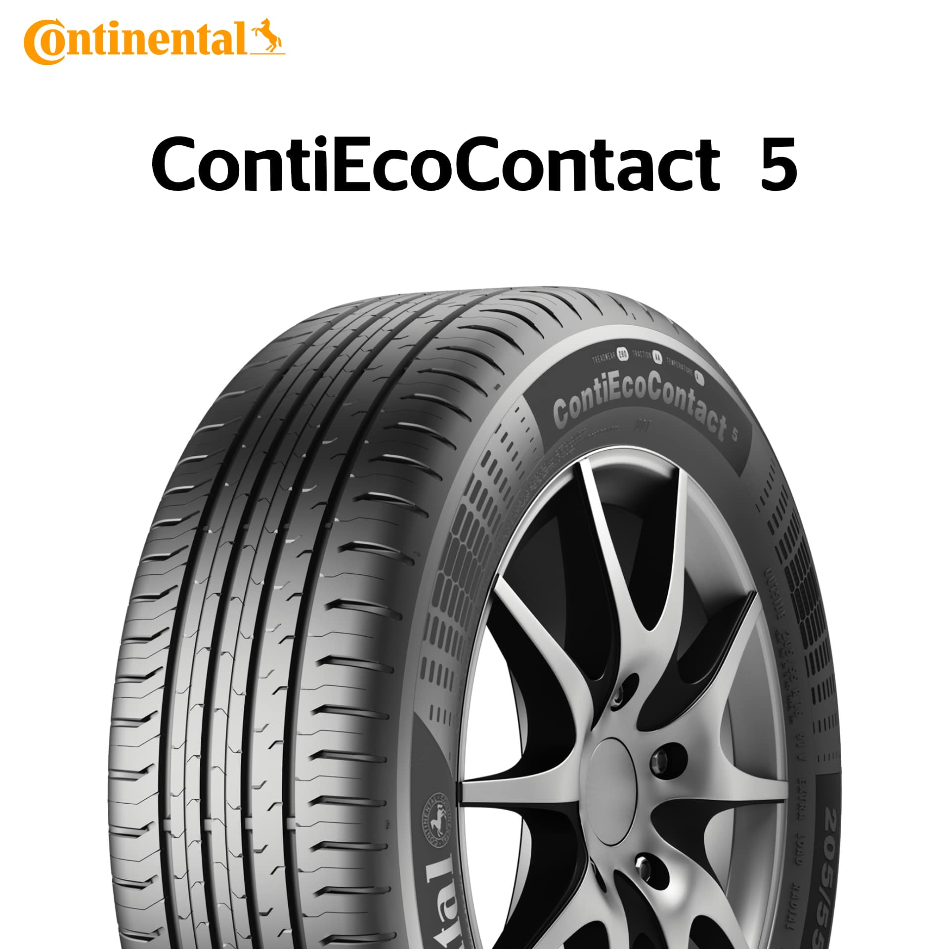 [39shop対象] 24年製 205/60R16 92V AO コンチネンタル ContiEcoContact 5（コンチエココンタクト5） アウディ承認タイヤ CEC5 16インチ 205/60/16 205/60-16 205-60-16 2056016 新品