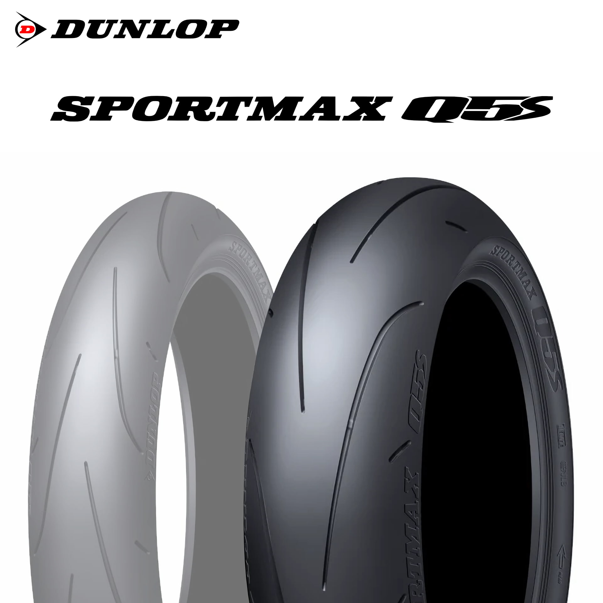 sportmax_q5s_r.jpg