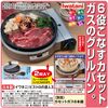 <日本製>イワタニ ビストロの達人3 NE