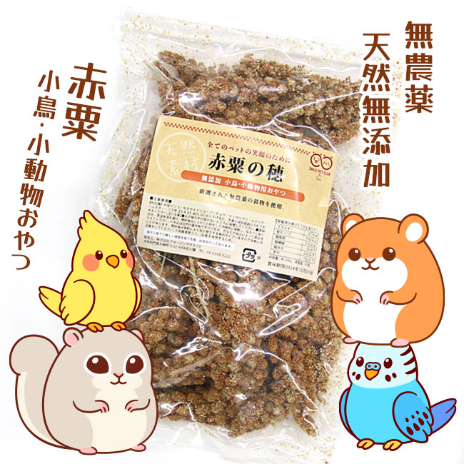 楽天市場】無農薬 赤粟の穂 500g 小鳥の餌 フード 天然 無農薬