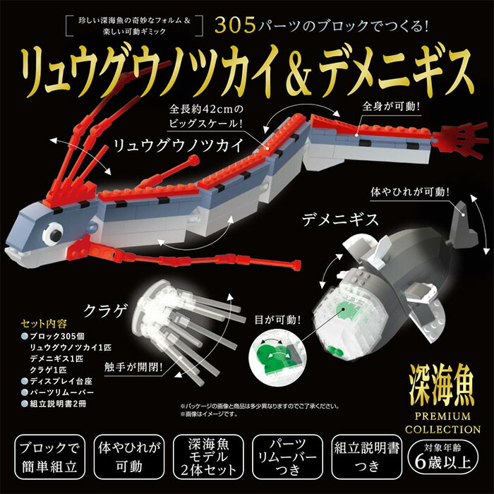ディギ　リュウグウノツカイ 9784861488757_1.jpg