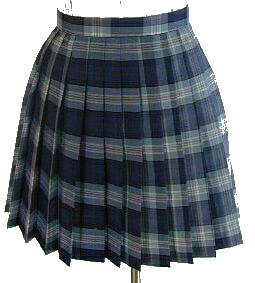 夏・チェックプリーツスカート（40cm丈）tam_s_8416｜トップ学生服 9,075円