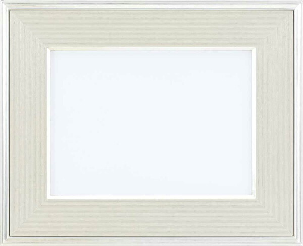 油彩額 油絵用額縁 風月 M10 銀 シルバー -新品